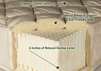 Cazenovian latex mattress photo